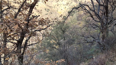 Vereda de la Estrella — fotografia 2