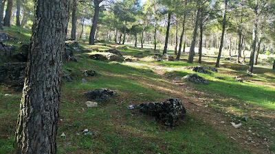 Merenderos Castillo Santa Catalina — fotografia 5