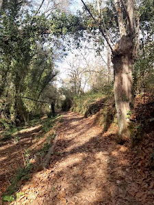 Sendero Castaño de Robledo - Puente de los Casares — fotografia 2