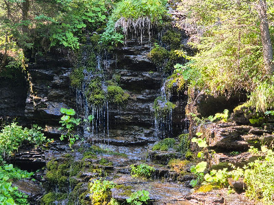 The valley of the White Opava — fotografia 4