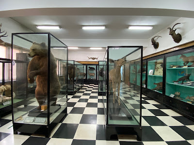 National Museum of Natural History — fotografia 3