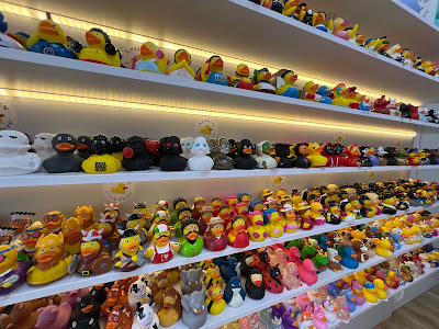 Duck Pond — fotografia 4