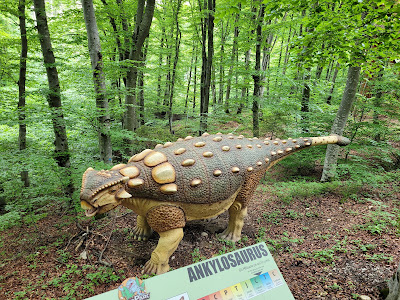 Dino Parc — fotografia 5