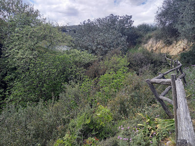 Kounaviano Gorge — fotografia 3