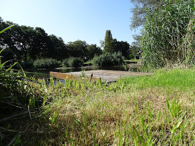 Angelteiche am 'Broicher Weiher' — fotografia 4