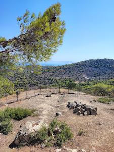 Temple of Aphaia — fotografia 3