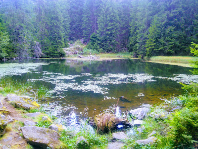 Екопътека "Смолянски езера" — fotografia 5