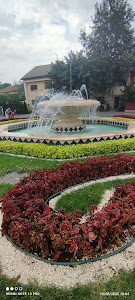 Parcul Pușkin - Crizantemelor — fotografia 5