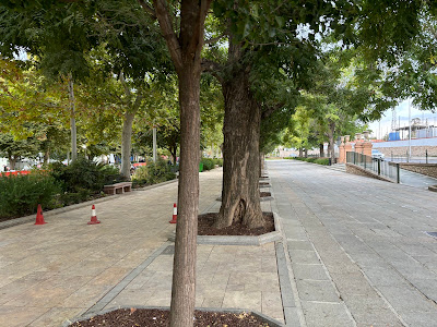 Paseo Real — fotografia 3