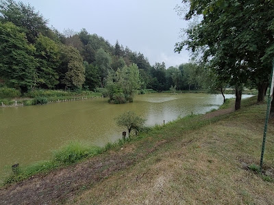 Ribnik pod Debnim vrhom