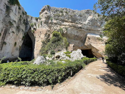 Ear of Dionysius — fotografia 5