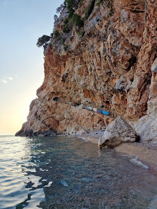 Pasjača — fotografia 3