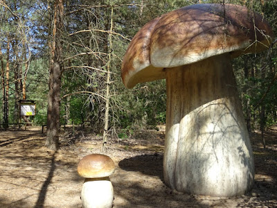 Park Grzybowy — fotografia 3