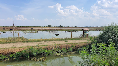 Fishery Railway Hortobágy — fotografia 5