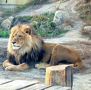 Malkia Park — fotografia 5