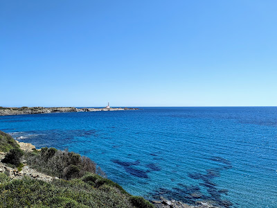 Playa d'en Tortuga — fotografia 4
