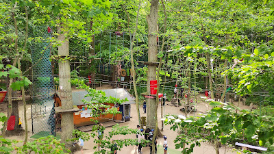 Rope Park Rewal Gibbon — fotografia 5
