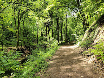 Danube-Ipoly National Park — fotografia 4