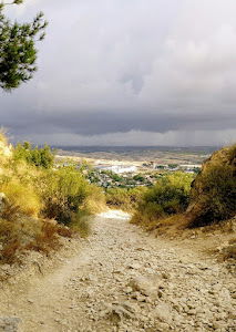 La Pineda de Bonavista — fotografia 5