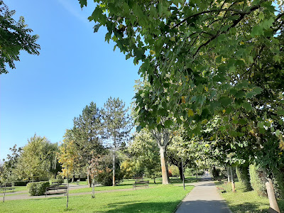 Parcul Europa