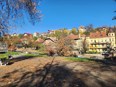 Parcul Schaeffler - Livada Poștei — fotografia 4