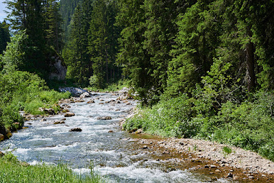 Häselgehr Wasserfall — fotografia 3