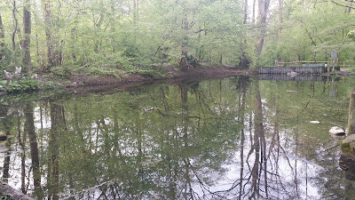 Pasinger Stadtpark — fotografia 3