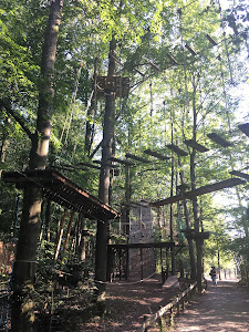 Wildpark Pforzheim — fotografia 4