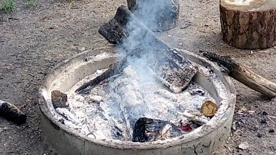 Polana Piknikowa przy rezerwacie przyrody „Królewskie Źródła” — fotografia 2