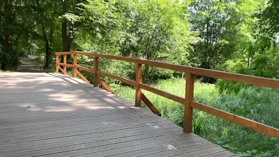 Las Sołtysowicki — fotografia 2