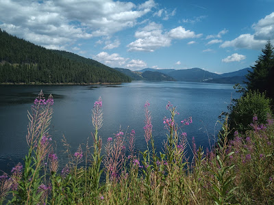 Lacul Vidra
