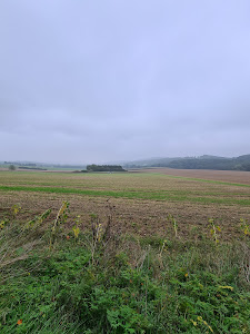 Schnattergang — fotografia 5