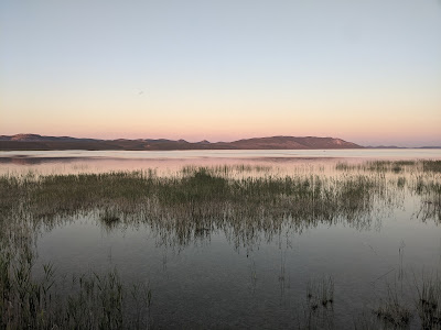 Nature Park Vrana Lake - ornithological reserve