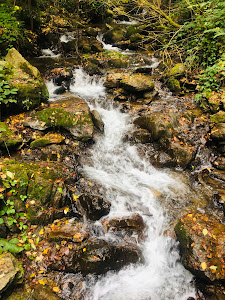 Cascada Şopot — fotografia 3