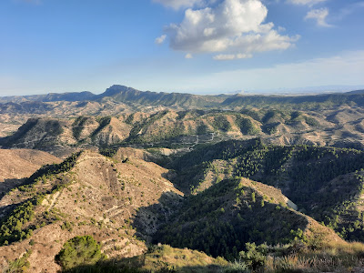 El Valle Murcia — fotografia 3