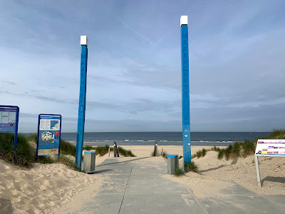 Strand maasvlakte — fotografia 5