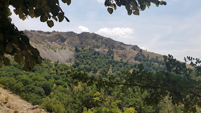 Țuțuiatu Trail — fotografia 5