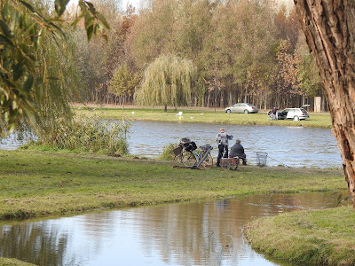 Camping Anita — fotografia 5