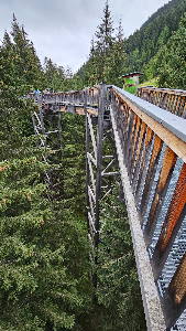 Glemmtaler Baumzipfelweg — fotografia 3