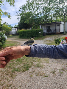 Mini camping Funtana — fotografia 5