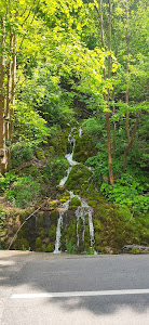 Cascada dacilor
