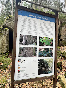 Podgórna Waterfall — fotografia 5