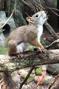 DoeZoo Insektenwereld — fotografia 3
