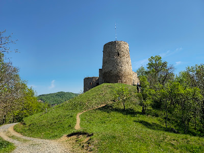 Cetatea Bologa — fotografia 3