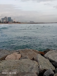 Platja de la Mar Bella — fotografia 5