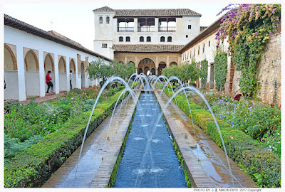 Palace of Charles V — fotografia 4