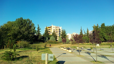 Elaiorema — fotografia 3