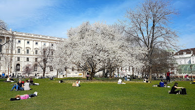 Burggarten — fotografia 3