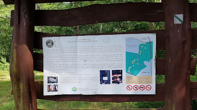 Polana Rekreacyjna "Jakubów" — fotografia 3