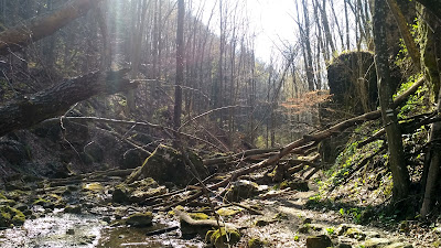 Kerteskői szurdok — fotografia 5